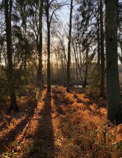 Hotel Sonnenhuegel Herbst 12