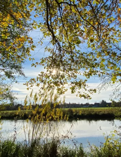 Hotel Sonnenhuegel Herbst 4