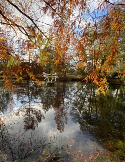 Hotel Sonnenhuegel Herbst 5