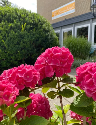 Hotel Sonnenhuegel Sommer 1
