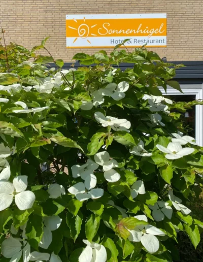Hotel Sonnenhuegel Sommer 13