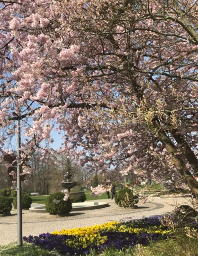 Hotel Sonnenhügel Frühling 0744