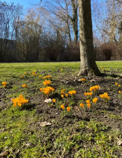 Hotel Sonnenhügel Frühling 1442