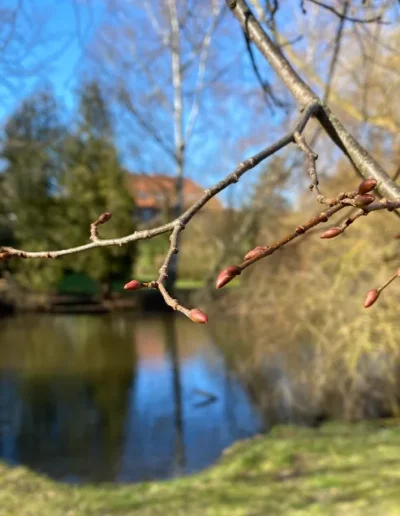Hotel Sonnenhügel Frühling 1452