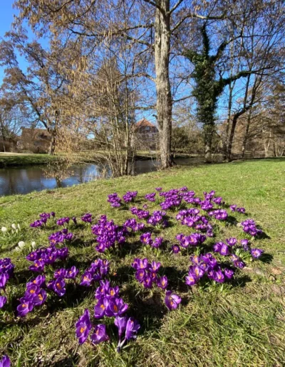 Hotel Sonnenhügel Frühling 1955