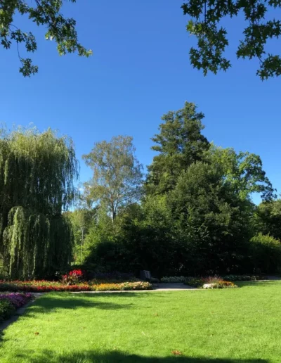 Hotel Sonnenhügel Frühling 2176
