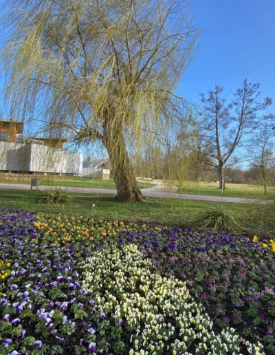 Hotel Sonnenhügel Frühling 3582