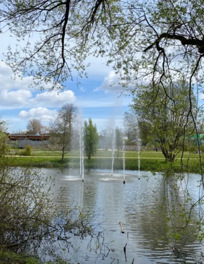 Hotel Sonnenhügel Frühling 6145