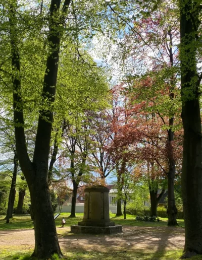 Hotel Sonnenhügel Frühling 6475