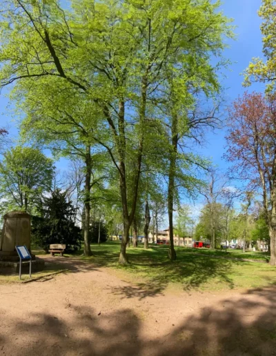 Hotel Sonnenhügel Frühling 6478