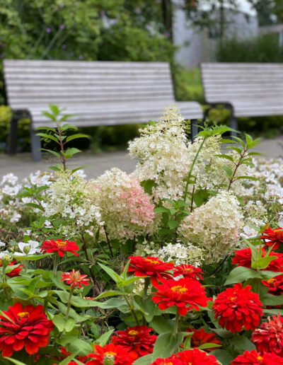 Gallerie Sommer 6